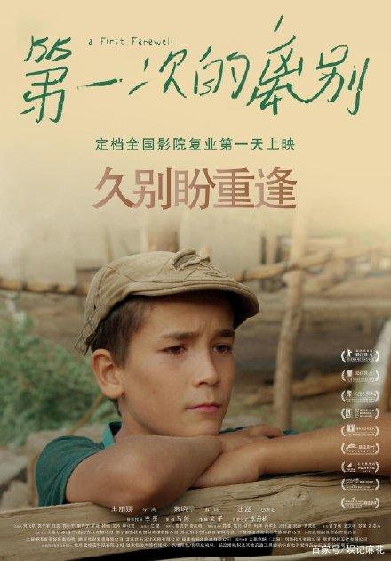 学历职业资格证书